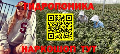 a pvp Свободный