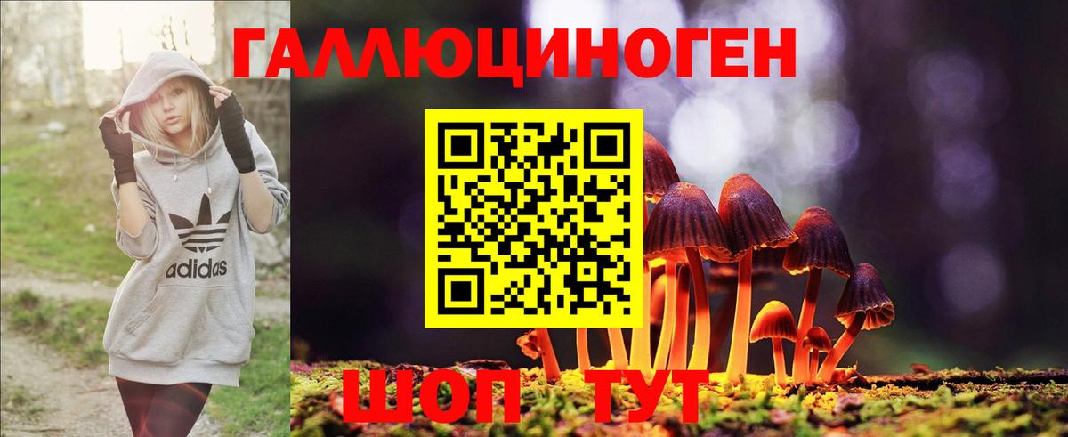 как найти закладки  Псилоцибиновые грибы MAGIC MUSHROOMS  Вход с VPN  Сарапул 